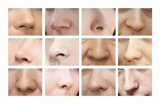 Thoughts About Our Nose(s)